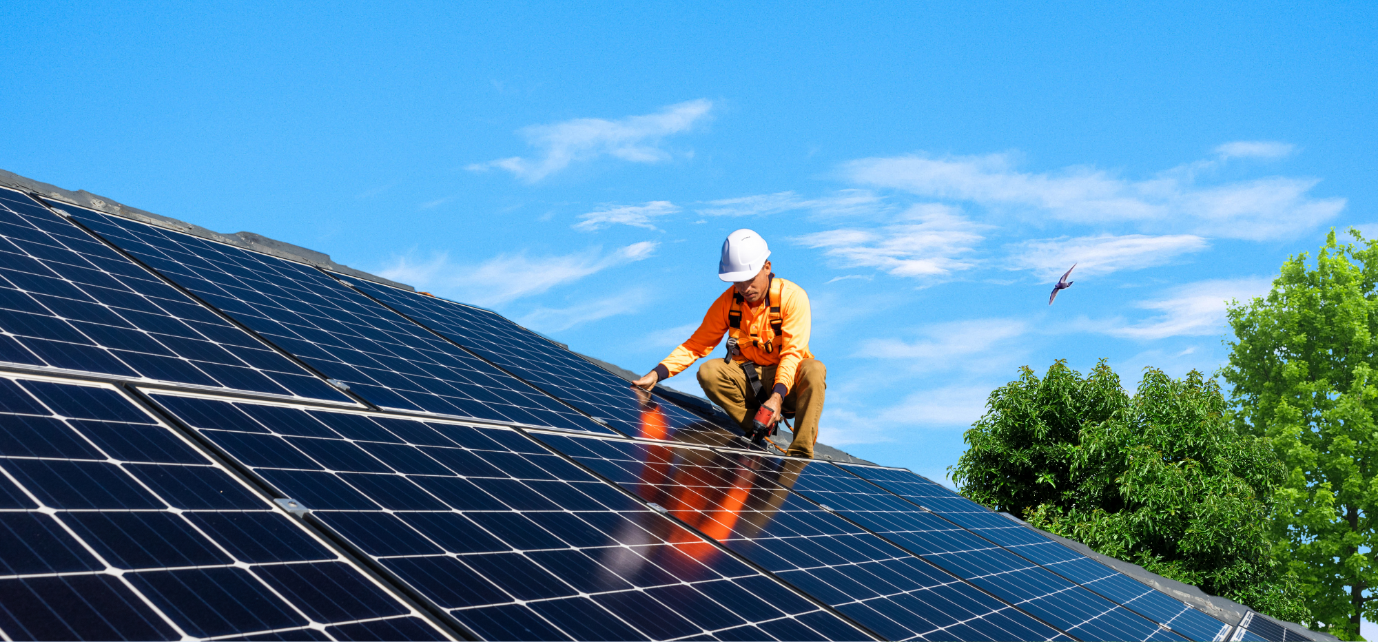 Solar Panels on House